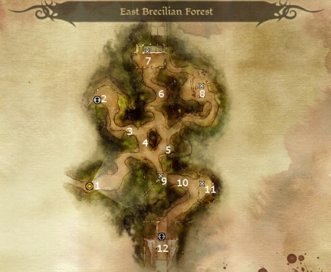 East Brecilian Forest