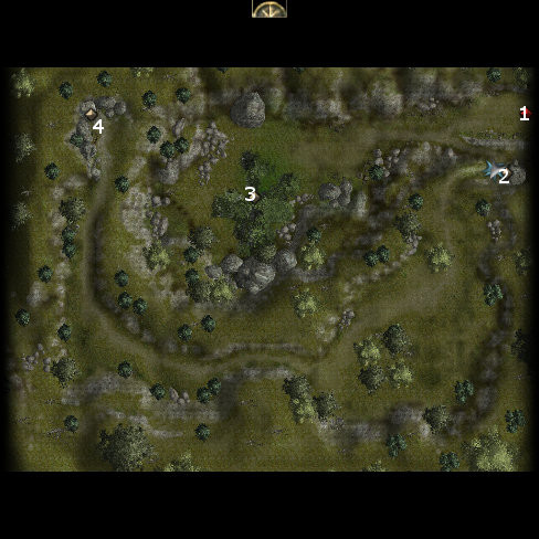 Duskwood Grove Map