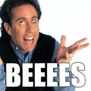 BEES! _/\O_º/\