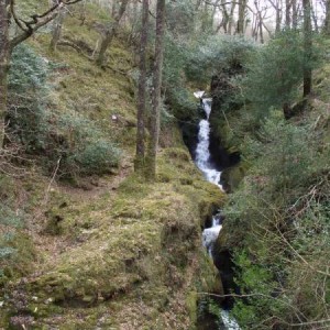 Ireland - stream in a national park.