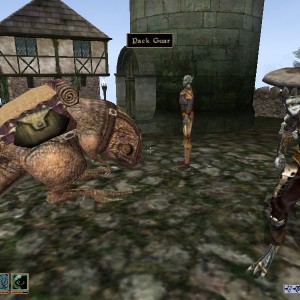 Traveling+Trader added by the mod Morrowind Comes Alive