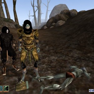 Companions1 added by the mod Morrowind Comes Alive