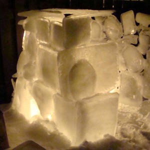 Ice Sculpture 08