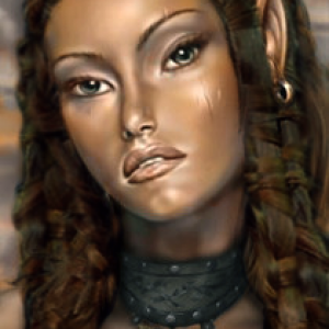 Jaheira portrait, based on the portrait from Enkida's Portrait Pack