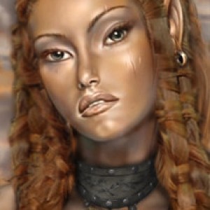 Jaheira portrait from Enkida's Portrait Pack