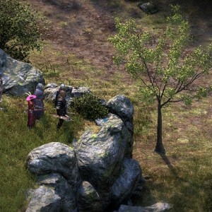 Screenshot from the "Woodend Plains" wilderness area in Pillars of Eternity