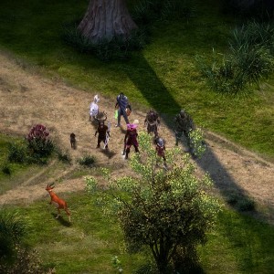 Screenshot from the "Elmshore" wilderness area in Pillars of Eternity