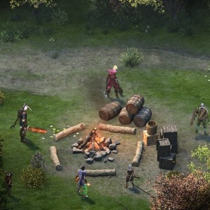 Screenshot from the "Black Meadow" wilderness area in Pillars of Eternity