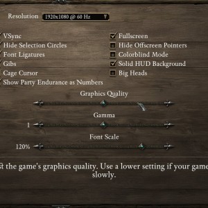 Graphics settings in Pillars of Eternity