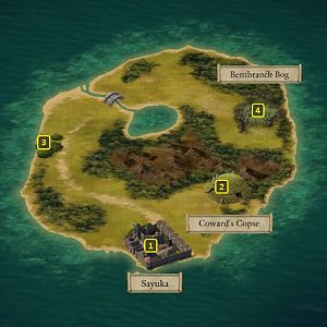 Pillars of Eternity 2: Sayuka Island