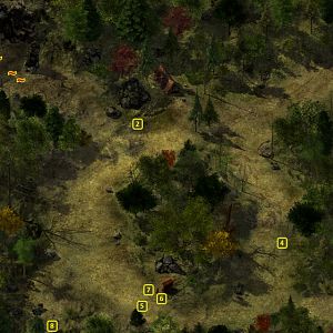 Siege of Dragonspear: Coast Way Forest