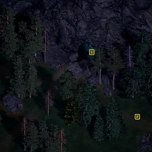Siege of Dragonspear: Forest Clearing