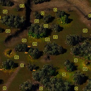 Baldur's Gate 2 EE: Wild Forest