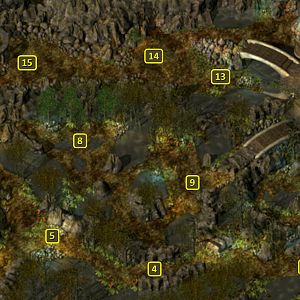 Baldur's Gate 2 EE: Druid Grove