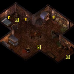 Baldur's Gate 2 EE: Tiris' Home